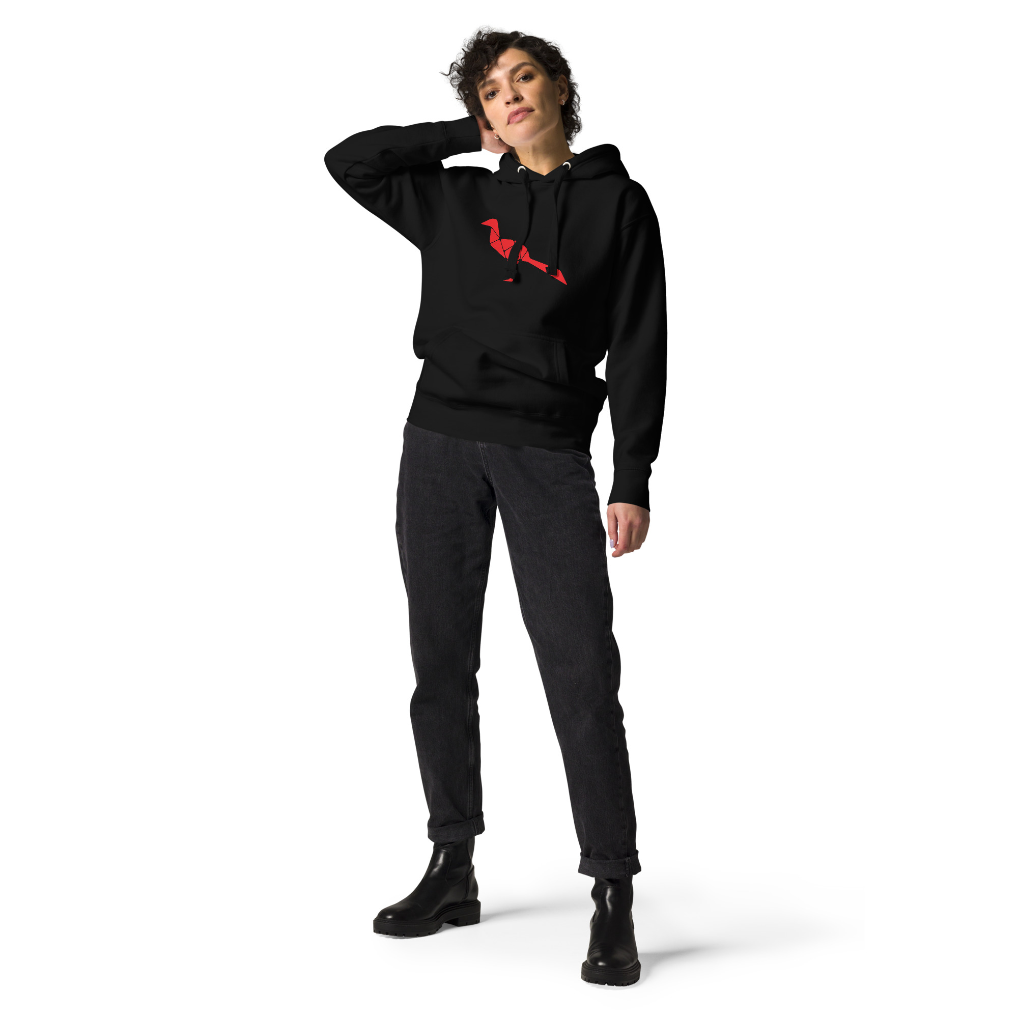 unisex-premium-hoodie-black-front-65a5dec163a4b.jpg